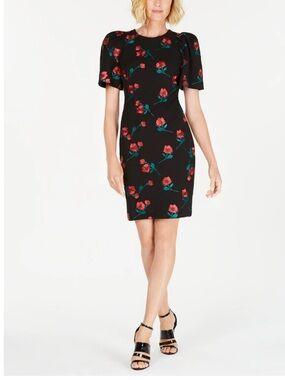 Calvin Klein Rose Puff Sleeve Dress Size 4